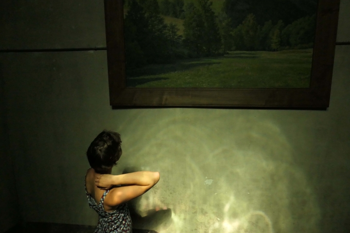 http://www.juliesteyer.com/files/gimgs/th-7_Svea et la tableau © Julie Steyer.jpg
